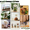 18Pcs 3 Style Arch Glass Dome Cover FIND-PH0008-78-6