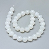 Natural White Agate Beads Strands G-D0005-27-12mm-2