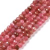 Natural Rhodonite Beads Strands G-C009-A18-1