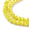 Faceted Round Full Rainbow Plated Electroplate Glass Beads Strands EGLA-J130-FR05-4