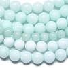 Natural Malaysia Jade Beads Strands G-L645-A01-6mm-31-4