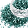 Glass Bugle Beads SEED-S032-08A-51A-1