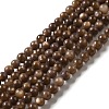 Natural Freshwater Shell Beads Strands SHEL-H003-03D-1
