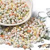 Baking Paint Glass Seed Beads X1-SEED-F006-01A-11-1