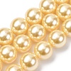Electroplated Shell Pearl Beads Strands BSHE-G041-14mm-01-1
