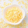 Ornament Accessories Plastic Paillette/Sequins Beads PVC-E001-05-RC01-4