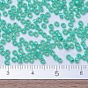 MIYUKI Round Rocailles Beads X-SEED-G007-RR0572-4