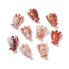Natural Red Agate Home Display Decorations DJEW-L009A-03-6