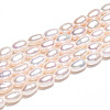 Natural Cultured Freshwater Pearl Beads Strands PEAR-N012-04W-01-5