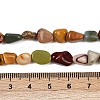 Natural Alashan Agate Beads Strands G-Q060-D19-02-5