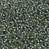 MIYUKI Round Rocailles Beads SEED-JP0009-RR3740-4