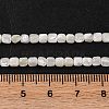Natural Trochus Shell Beads Strands BSHE-S304-09B-4