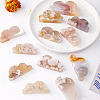 Natural Cherry Blossom Agate Display Decorations G-PW0004-01A-2