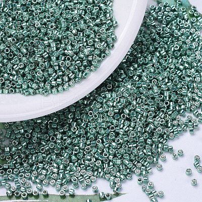 MIYUKI Delica Beads SEED-J020-DB0432-1