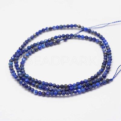 Natural Lapis Lazuli Beads Strands G-K182-2mm-04-1