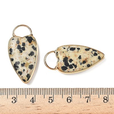 Natural Dalmatian Jasper Pendants G-I393-01G-12-1