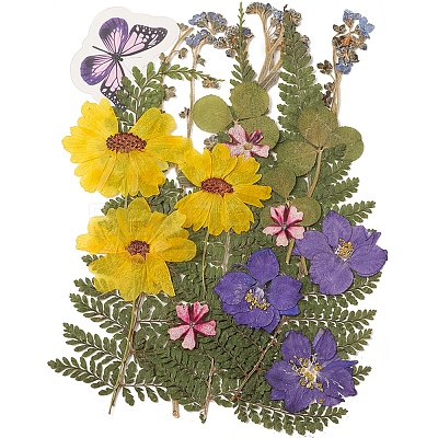 Pressed Dried Flowers DIY-YWC0001-97-1