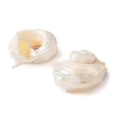 Natural Sea Shell Pendants X-SSHEL-C013-03-1