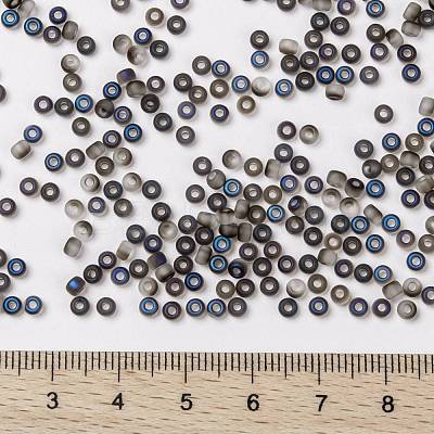 MIYUKI Round Rocailles Beads X-SEED-G008-RR4556-1