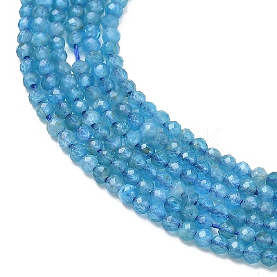 Natural Apatite Beads Strands G-Z160-A01-2mm-1