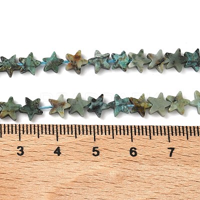 Natural African Turquoise(Jasper) Beads Strands G-F817-A14-01-1
