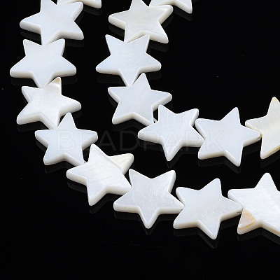 Natural Freshwater Shell Beads Strands X-SHEL-S278-01D-01-1