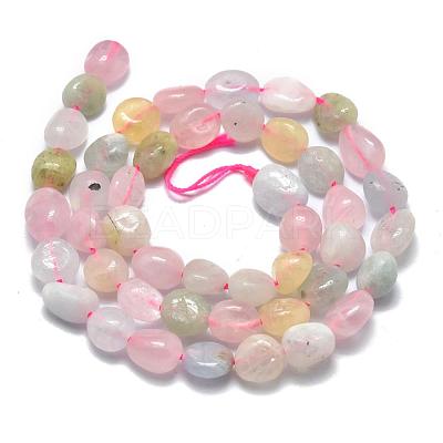 Natural Morganite Beads Strands X-G-O186-B-03-1