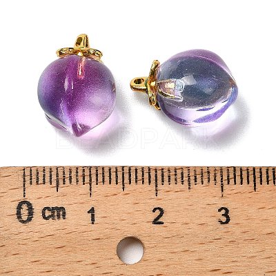 Glass Pendants X-GLAA-P072-05G-1