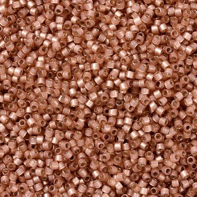 MIYUKI Delica Beads X-SEED-J020-DB2172-1