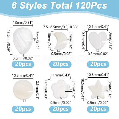 120Pcs 6 Styles Natural Shell Beads SHEL-GO0001-07-1