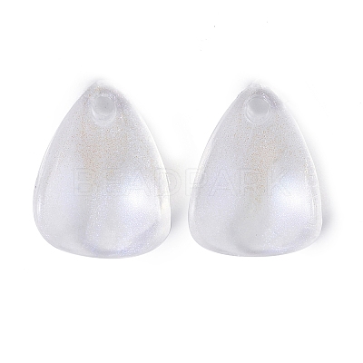 Transparent Acrylic Pendants OACR-P007-38-1