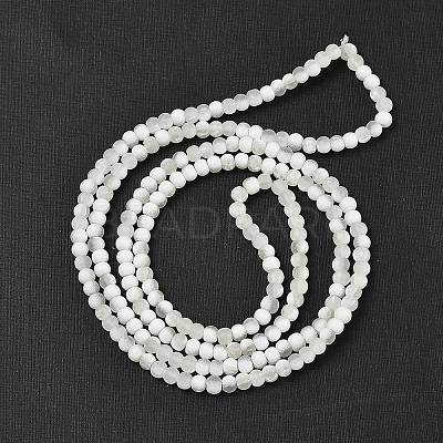 Frosted Crackle Glass Beads X1-GLAA-U001-4mm-M07-1