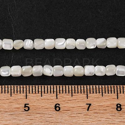 Natural Trochus Shell Beads Strands BSHE-S304-09B-1