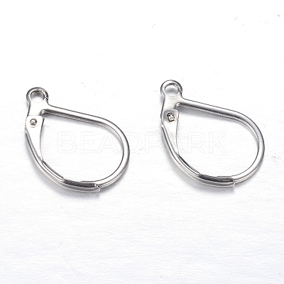 Tarnish Resistant 304 Stainless Steel Leverback Earring Findings LS-STAS-M217-03-1