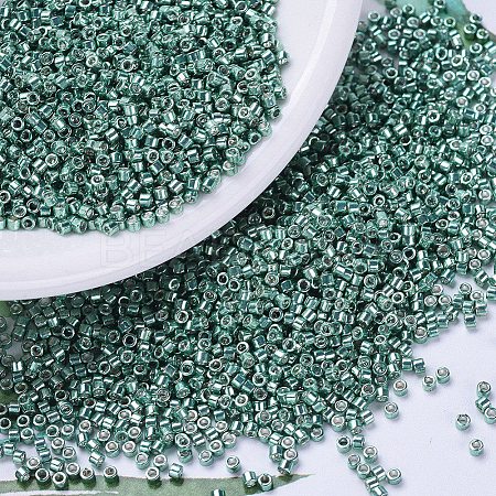 MIYUKI Delica Beads SEED-J020-DB0432-1