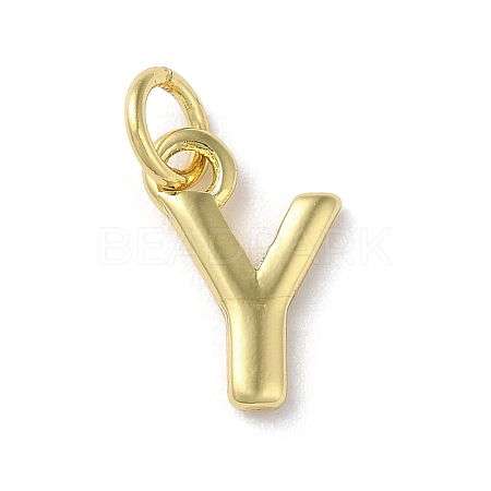 Rack Plating Brass Charms KK-P245-06G-Y-1