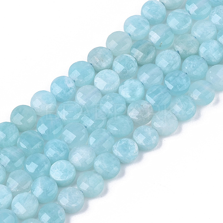 Natural Amazonite Beads Strands G-S362-051-1