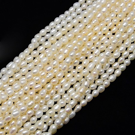 Natural Cultured Freshwater Pearl Beads Strands PEAR-L001-D-03-1