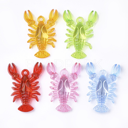 Transparent Acrylic Pendants TACR-S149-02-1