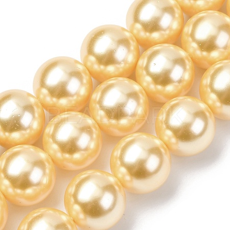 Electroplated Shell Pearl Beads Strands BSHE-G041-14mm-01-1