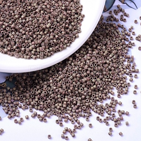 MIYUKI Delica Beads X-SEED-J020-DB1061-1
