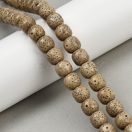 Natural Rudraksha Bodhi Seed Beads Strand WOOD-B010-A03-9x10mm-1