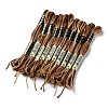 10 Skeins 6-Ply Polyester Embroidery Floss OCOR-K006-A51-1