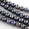 Natural Cultured Freshwater Pearl Beads Strands PEAR-R012-01-5