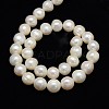 Natural Cultured Freshwater Pearl Beads Strands PEAR-L001-B-07-01-3