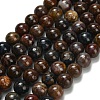 Natural Pietersite Beads Strands G-L642-B16-10mm-2