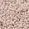 Glass Seed Beads SEED-K009-02A-01-3