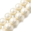 Polished Shell Pearl Round Beads Strands PEAR-XCP0001-10-1