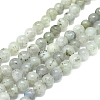 Natural Labradorite Beads Strands X-G-G828-01-6mm-1