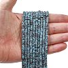 Dyed Synthetic Turquoise Beads Strands G-Z089-A04-S-1